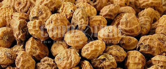 TIGERNUT STANDARD 1KG