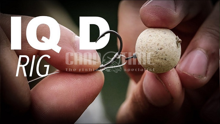 TERMINALI IQ D RIG CURVE SHANK - immagine 2