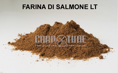 FARINA DI SALMONE LT