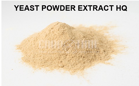YEAST POWDER 250GR