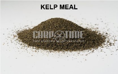KELP MEAL 1KG
