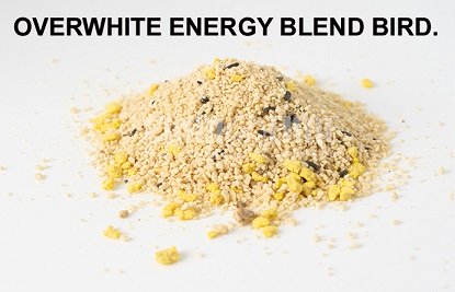 OVERWHITE BIRDFOOD