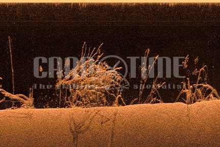 STRIKER 5CV VIVID - immagine 3