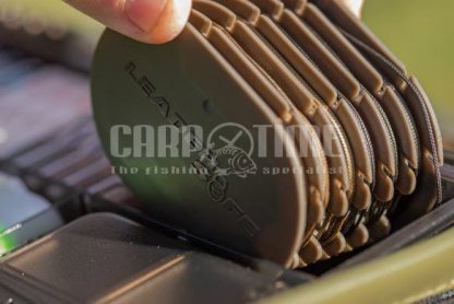 PROTEGGI LEADER - immagine 3