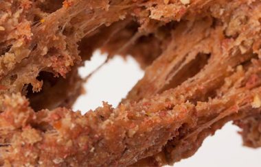 Fibre paste