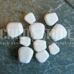 SINKING SWEETCORN - immagine 2