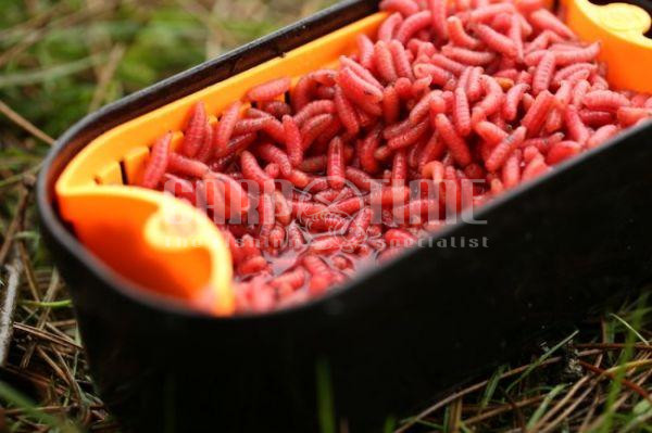 BAIT STRAINER 1 PINT