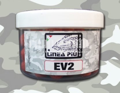 BALANCED EV2