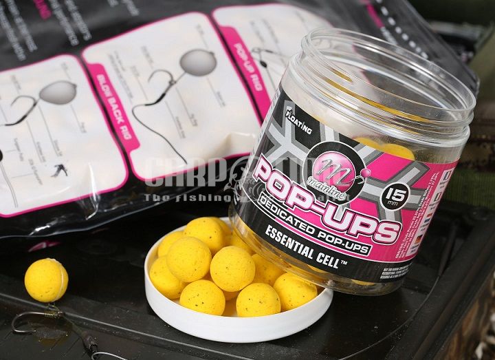 POP UP MAINLINE 15MM - immagine 2