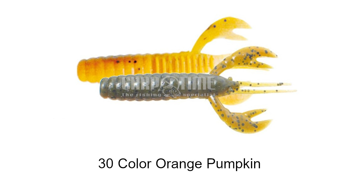 CALEO CRAW - immagine 4