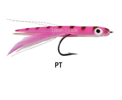 RAGTUNA RAGOT