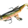 MOLIX SHAD 100 24GR