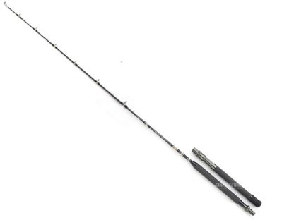 CANNA TRAINA SHIMANO TYRNOS B TROLLING LITE