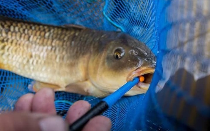 SLAMATORE DISGORGER KNOT - immagine 2