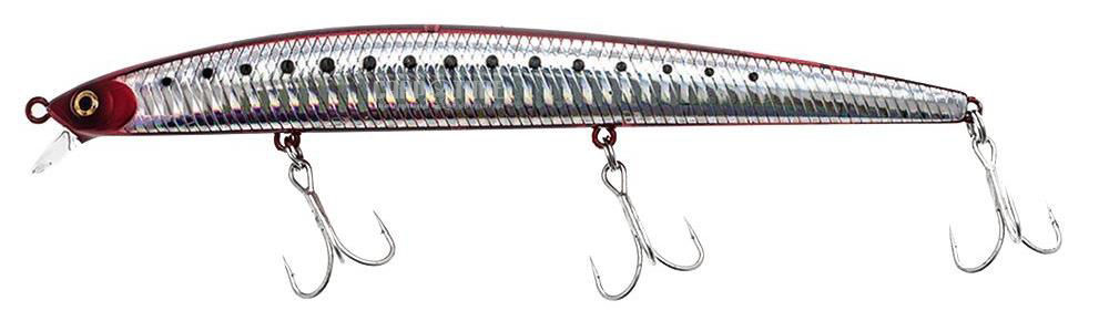 SHORELINE SHINER SLENDER - immagine 3