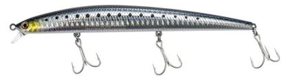 SHORELINE SHINER SLENDER