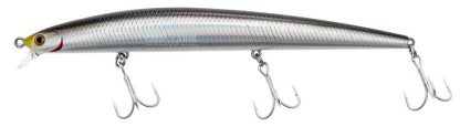 SHORELINE SHINER SLENDER - immagine 2
