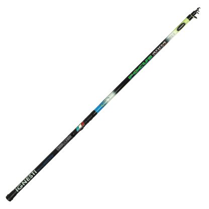 CANNA FOCUS BOLO