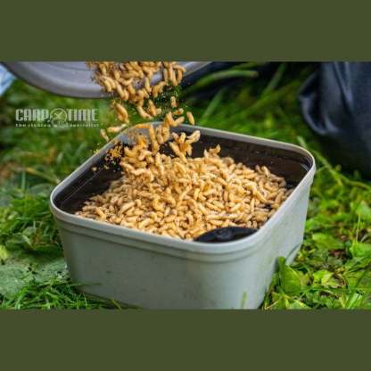 SETACCIO MAGGOT RIDDLE ORANGE - immagine 5