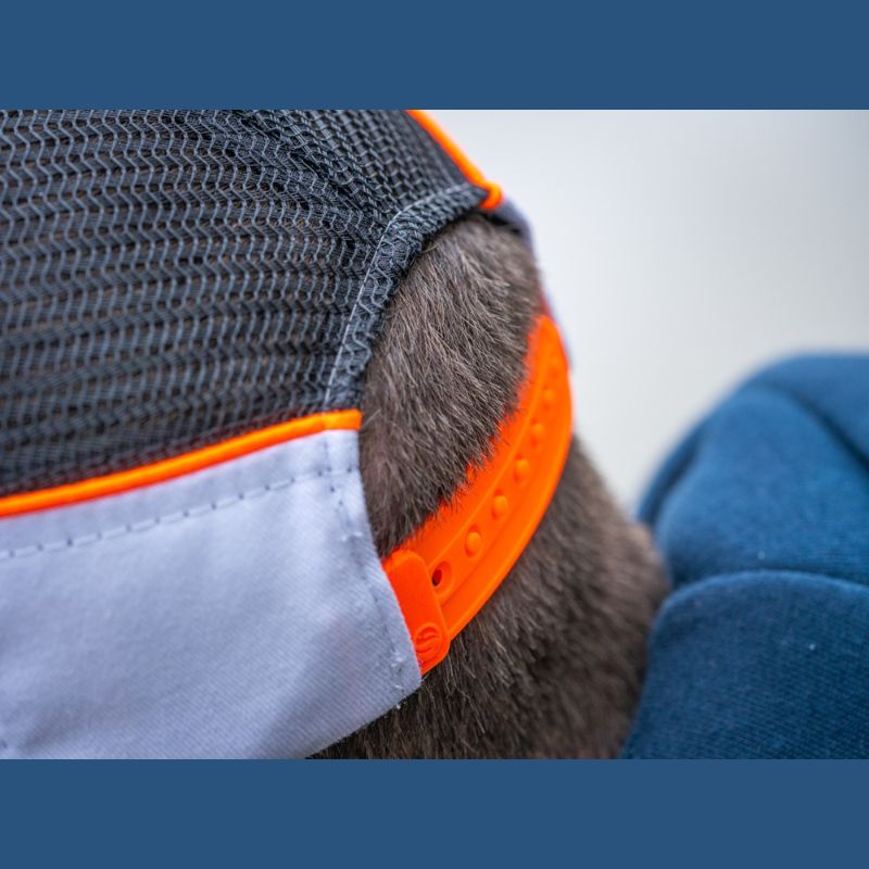 WHITE TRUCKER CAP - immagine 4