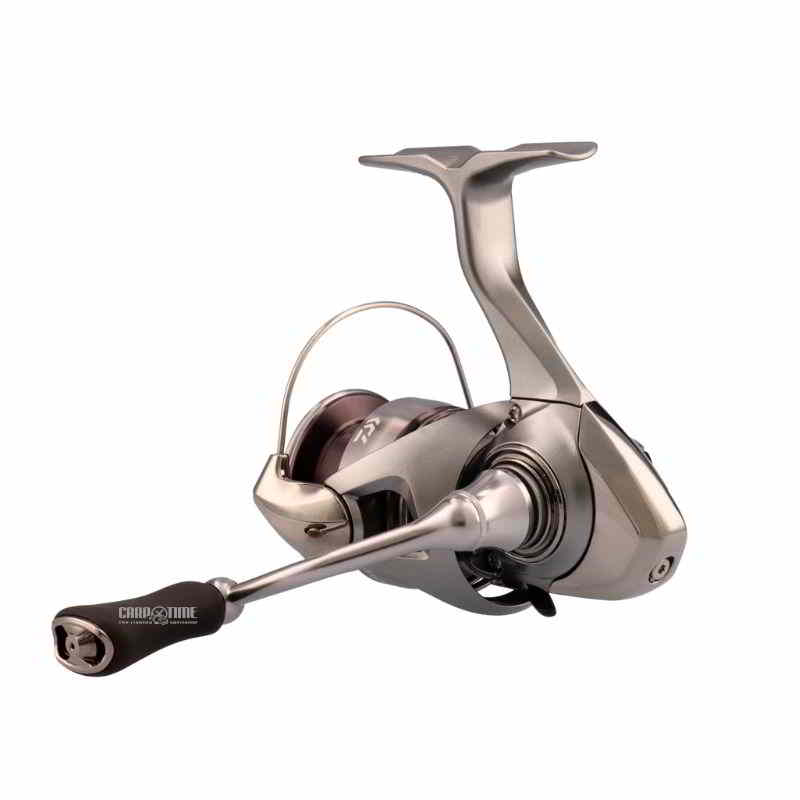 EXCELER LT 2023 - immagine 2