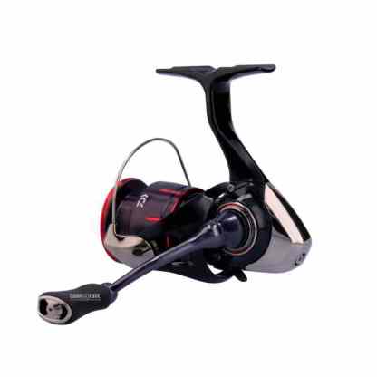 FUEGO LT 2023 - immagine 2