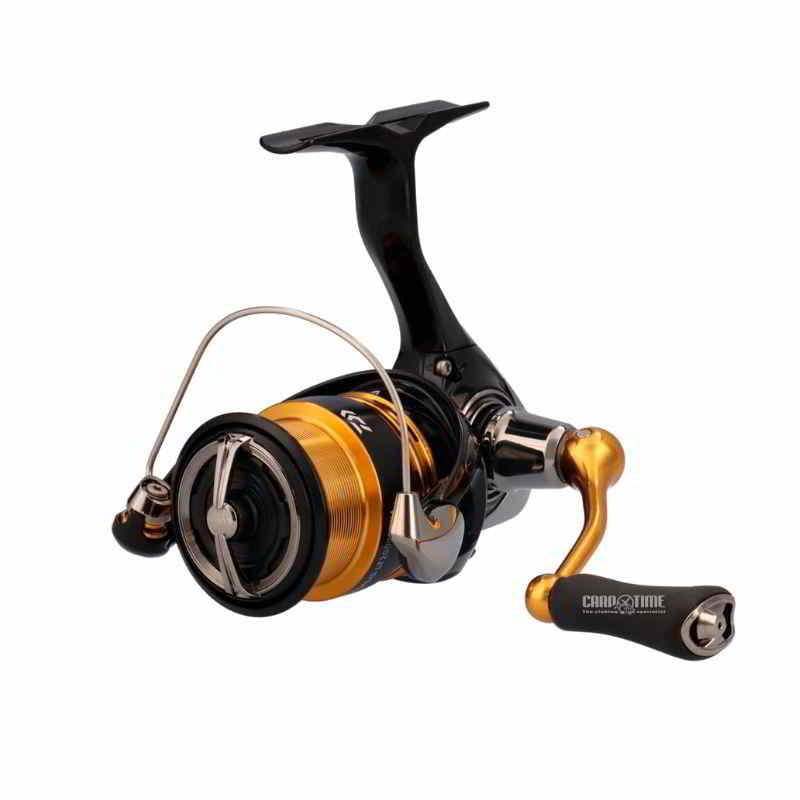 LEGALIS LT 2023 - immagine 5