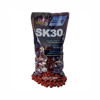 SK30 BOILES - immagine 5