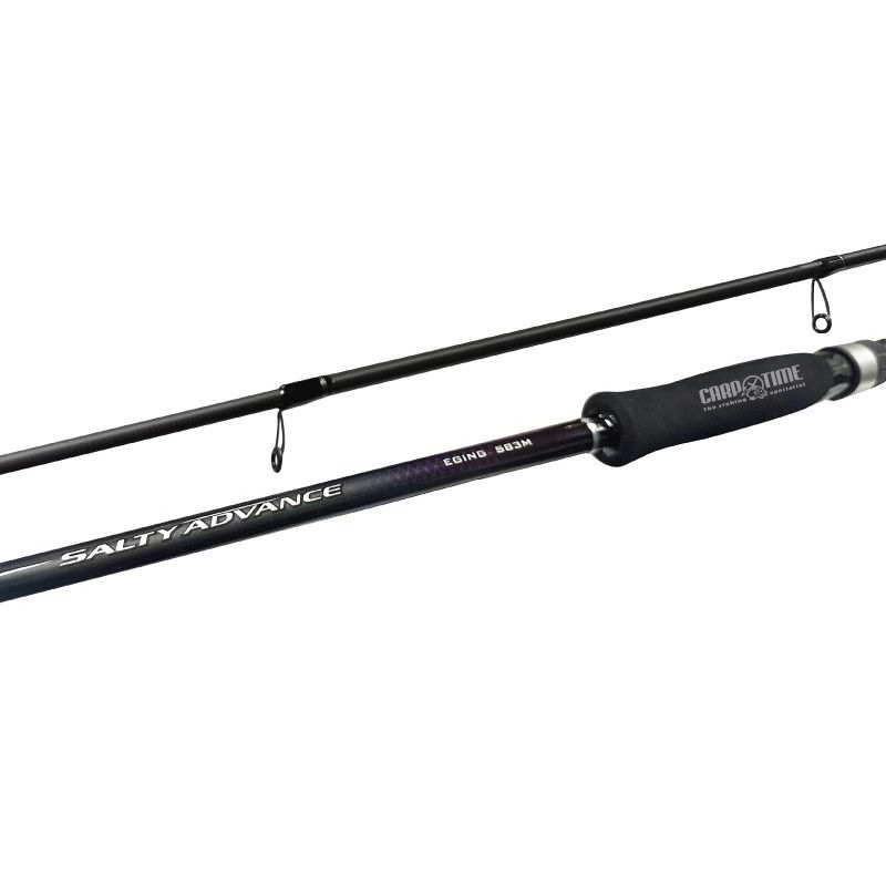 SHIMANO SALTY ADVANCE - immagine 2