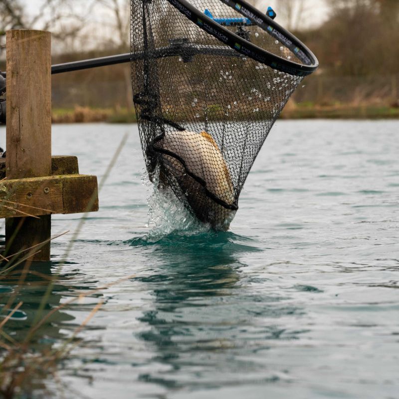 CARP XS LANDING NETS - immagine 2