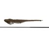 HORIZON X3-S 42" - immagine 5