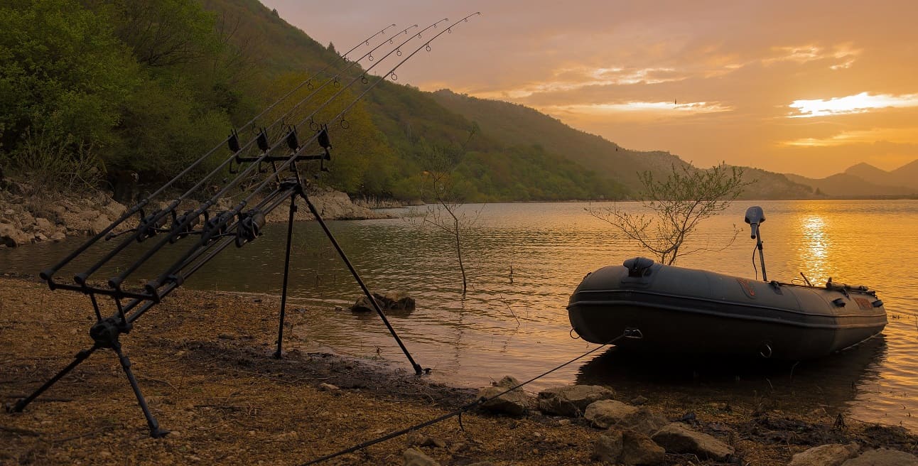 CARPFISHING