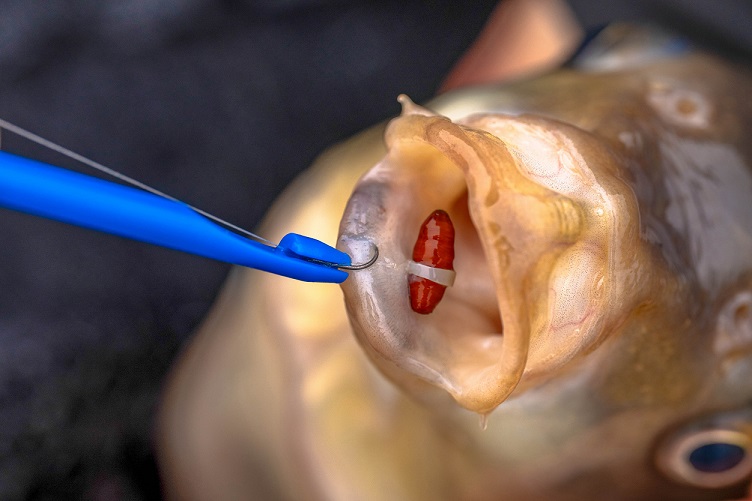 BANDER - DISGORGER TWIN PACK - immagine 3