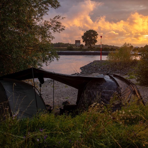 BANK LIFE MULTI TARP - immagine 4