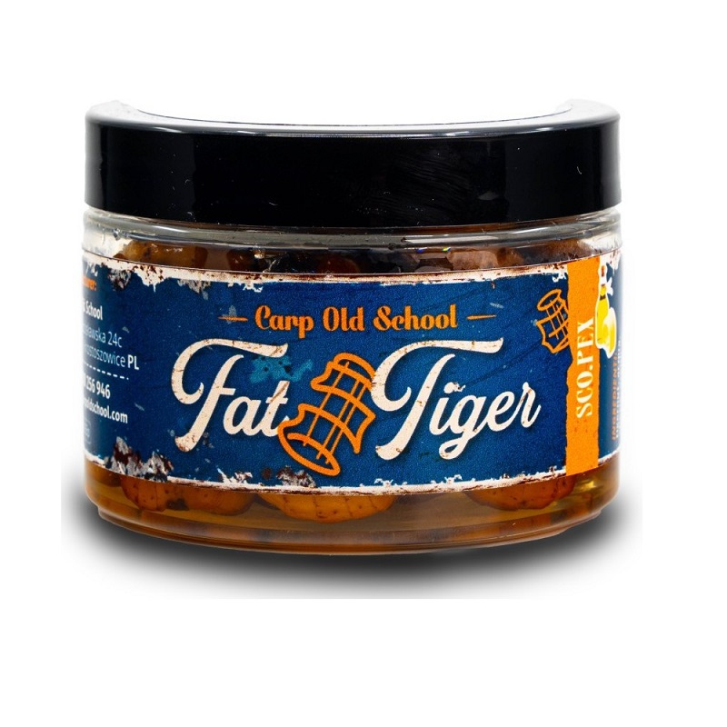 FAT TIGER - immagine 4