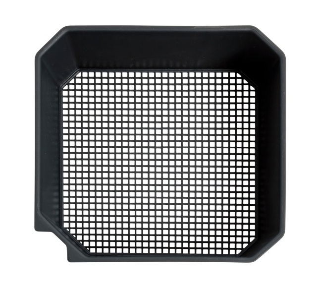 2PT MAGGOT RIDDLE - immagine 3